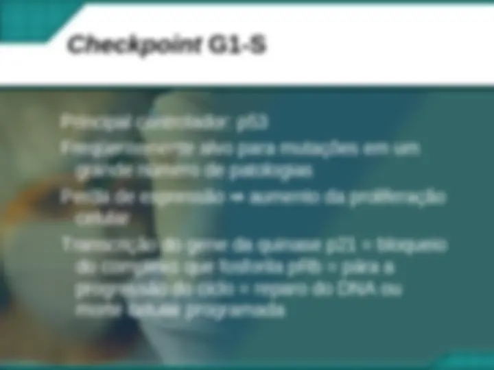 pf24