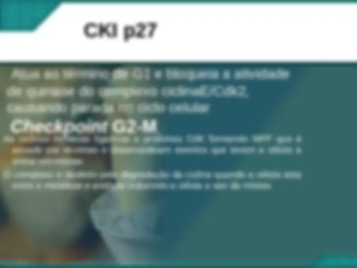 pf25