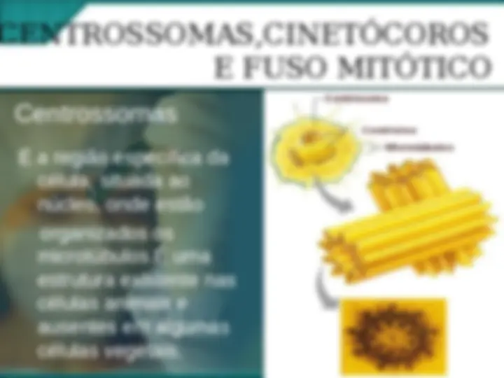 pf15