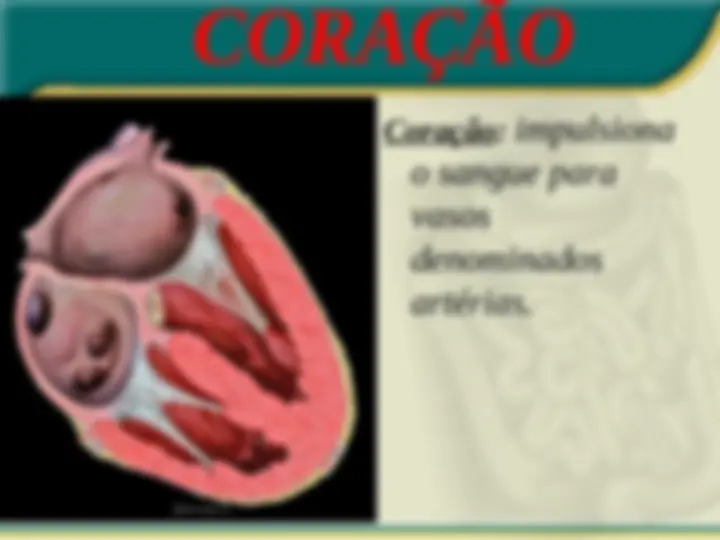 pf5