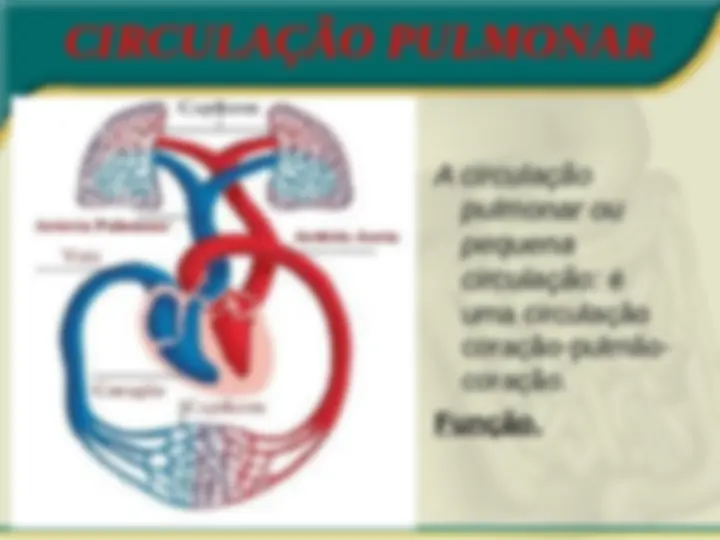 pf24