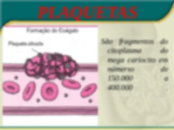 pf15
