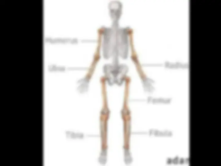 pf3