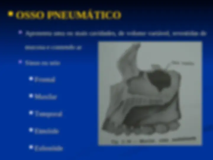 pf16