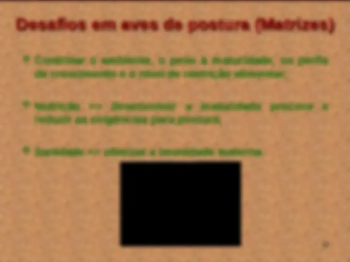 pf13