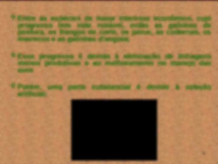 pf4