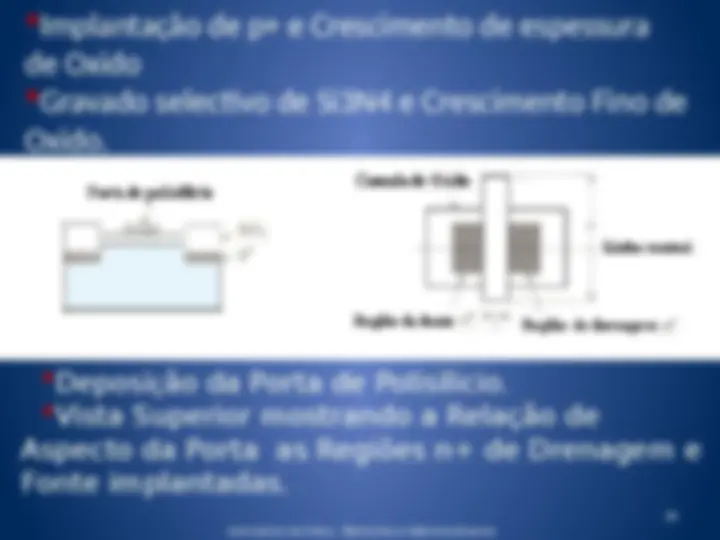 pf24