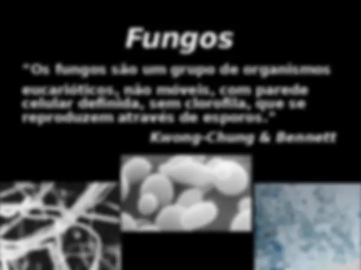 pf3