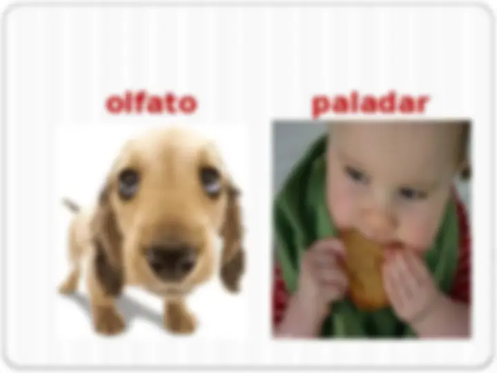 pf13