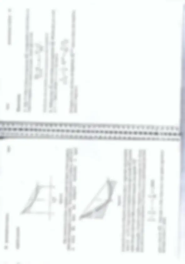 pf19