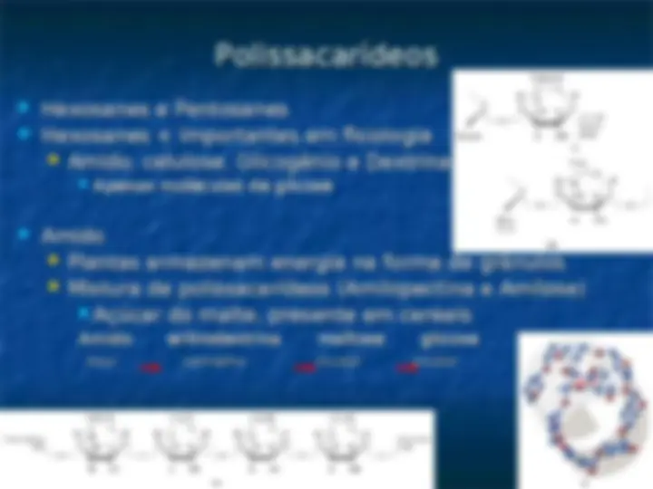 pf12