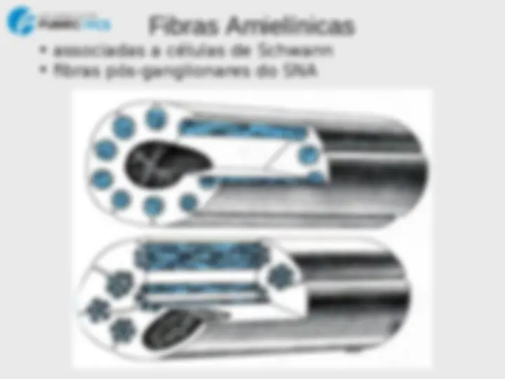 pf1b