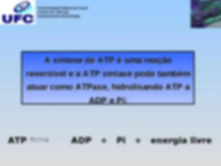 pf19