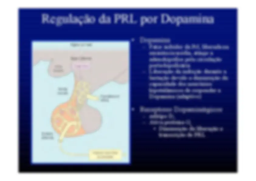 pf2f