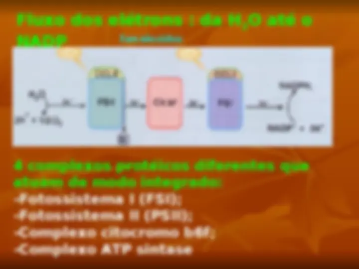 pf1a