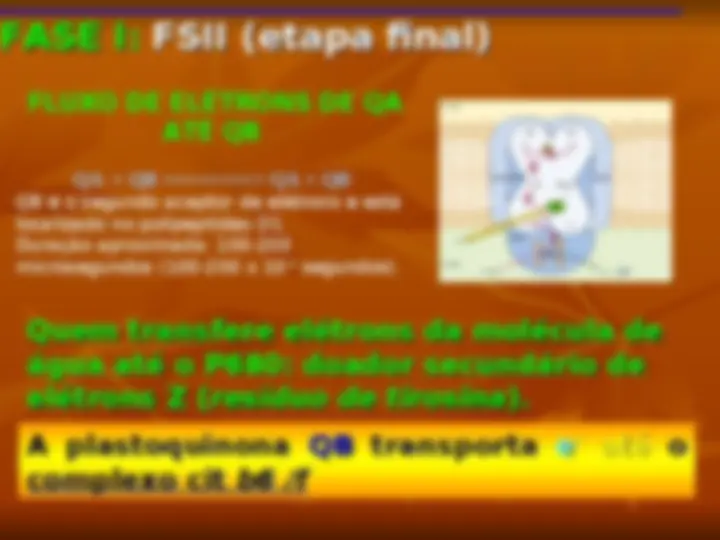 pf15
