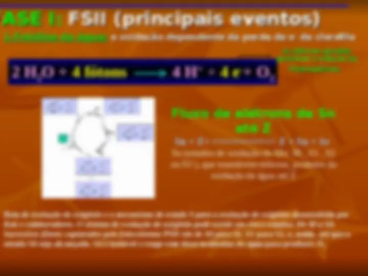 pf14