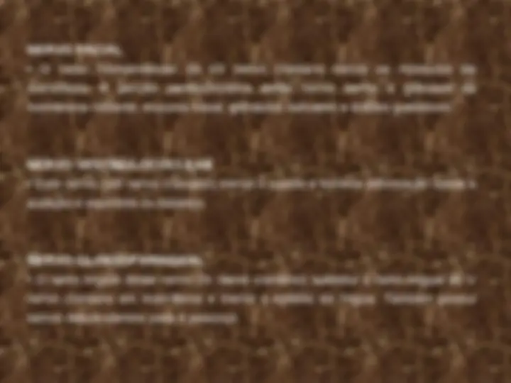 pfe
