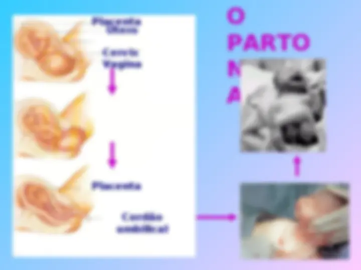 pf23