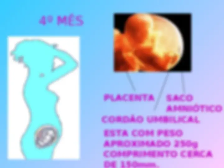 pf1d
