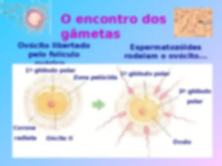 pf5
