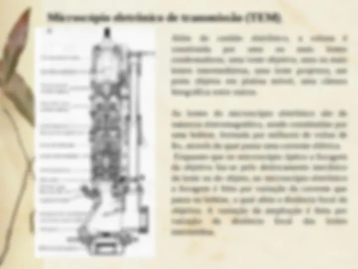 pf23