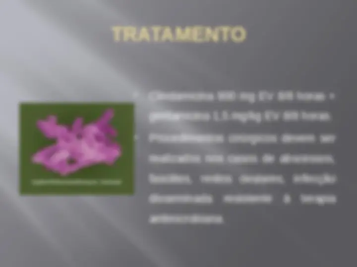pf12