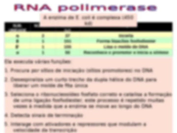 pf13