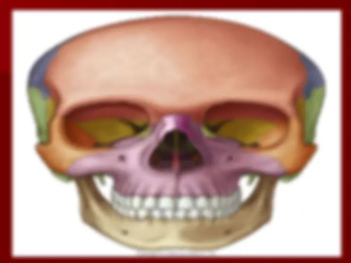 pf8