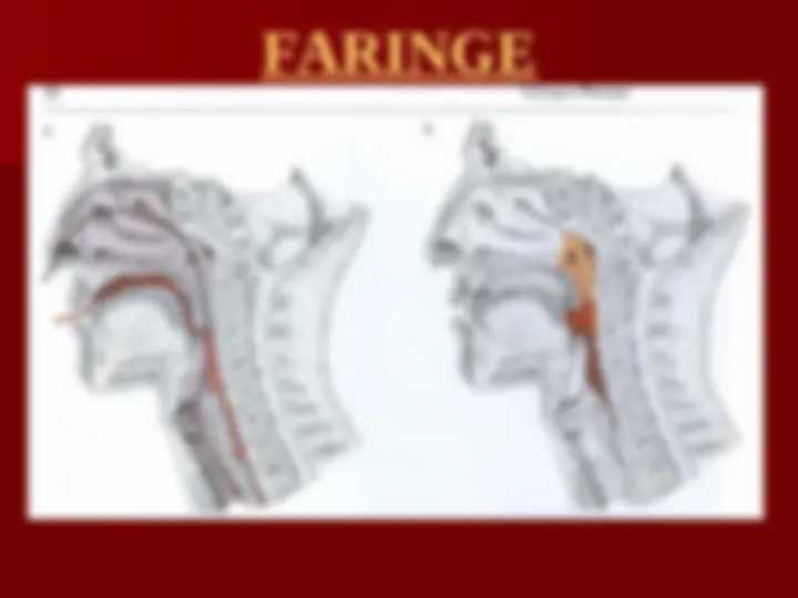 pf15