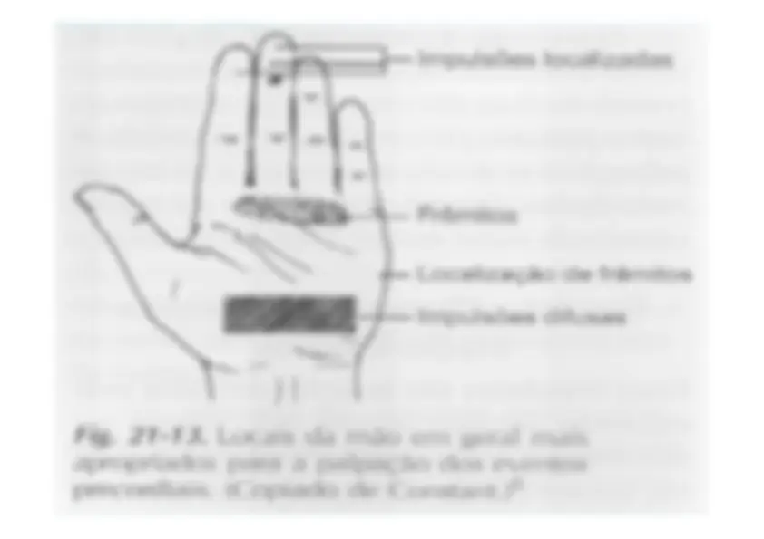 pf26