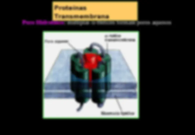 pf13