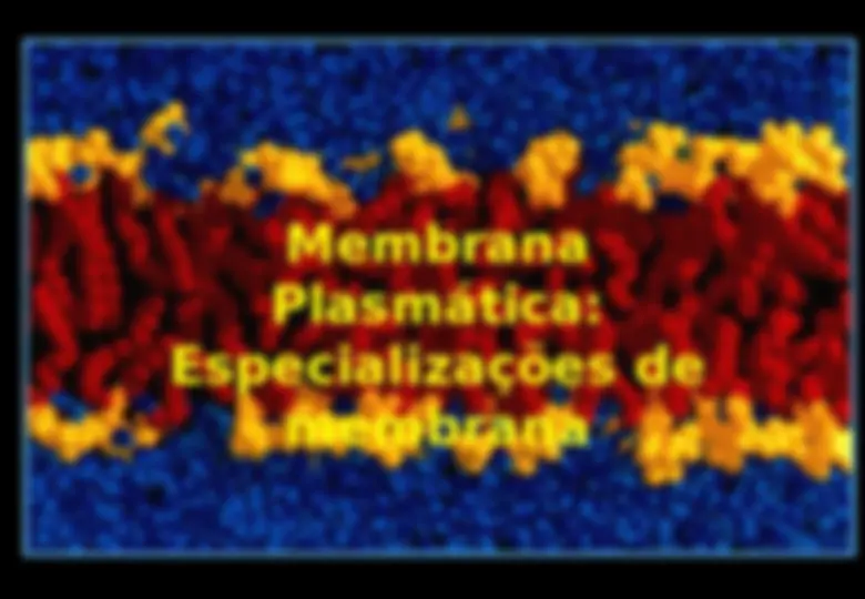 pf1b