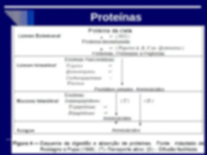 pf29
