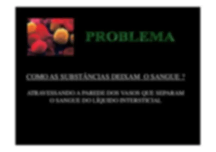pf13