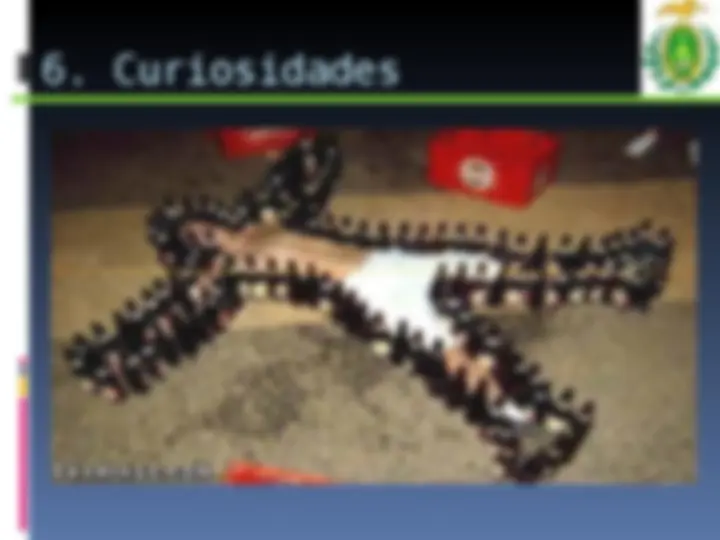 pf1d