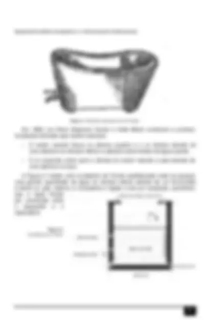 pf19