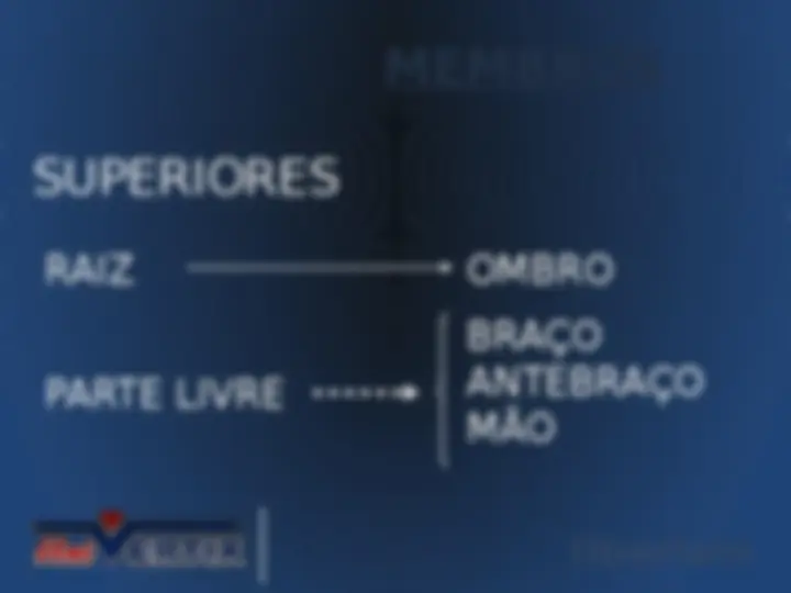 pf2e