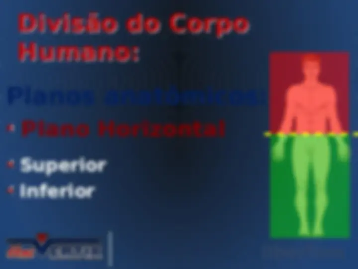 pf33