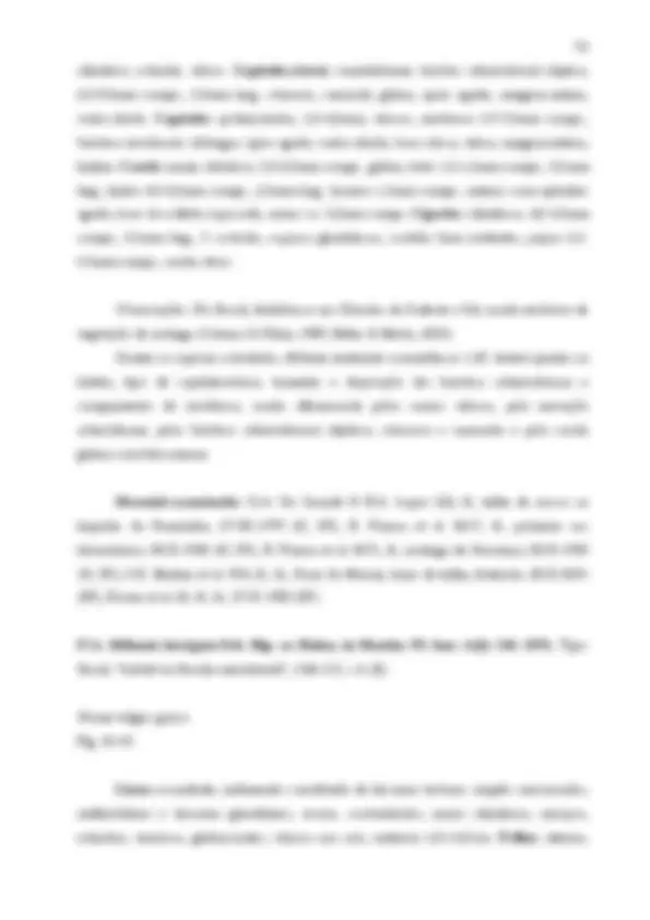 pf58