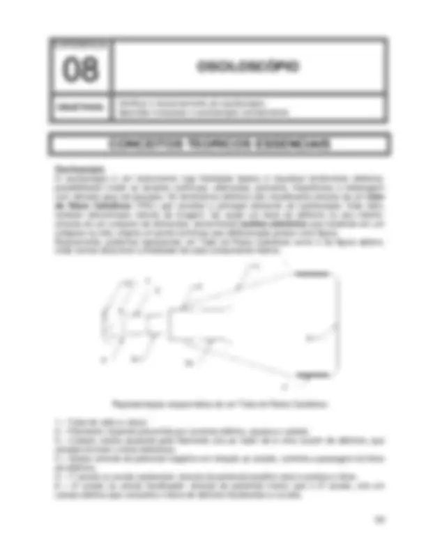 pf3b