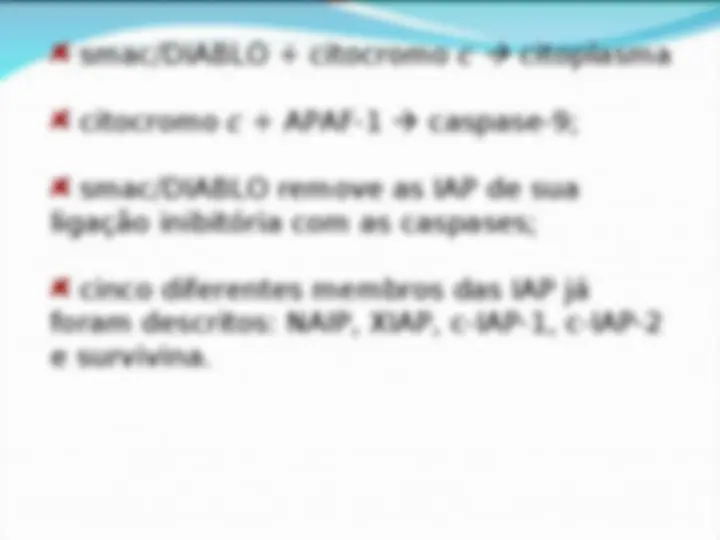 pfe