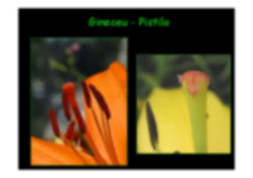 pf14