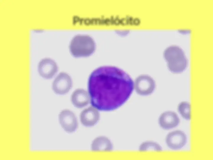 pf8