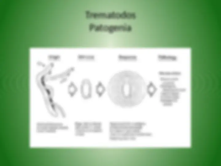 pf32
