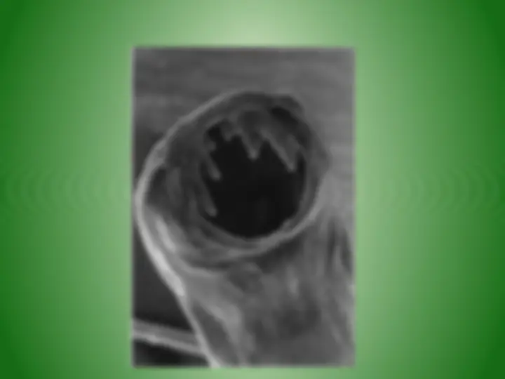 pf39