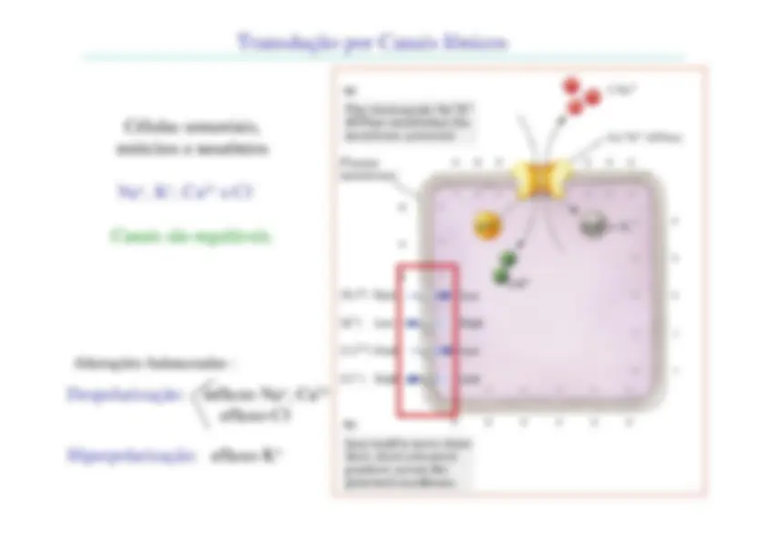 pf12