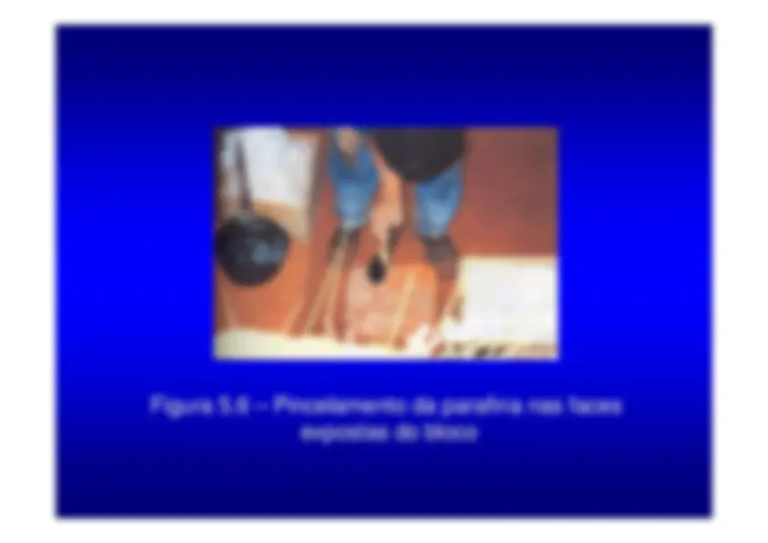 pf13
