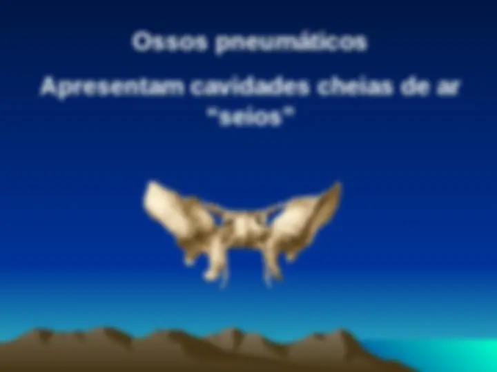 pfe