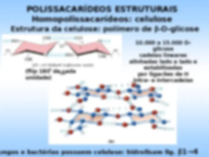 pf26
